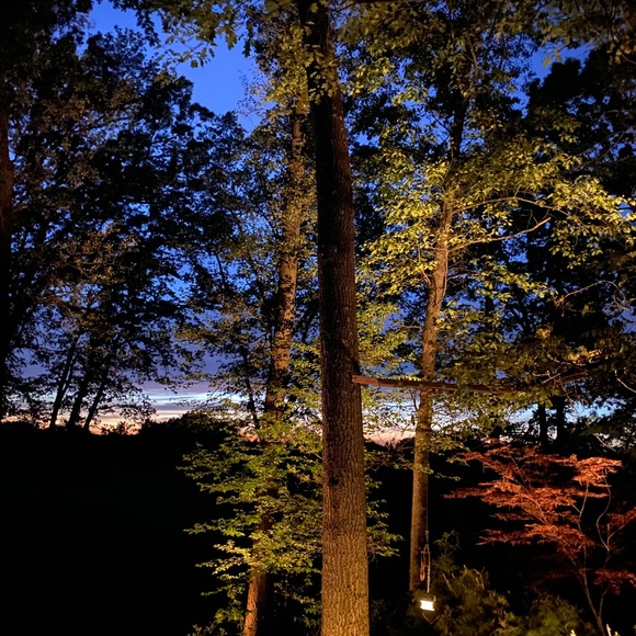 CLOSET CLOSING•SALE•make me any offer - Picture 9 of 16